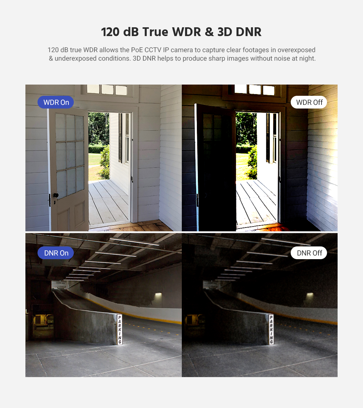 3D DNR Image