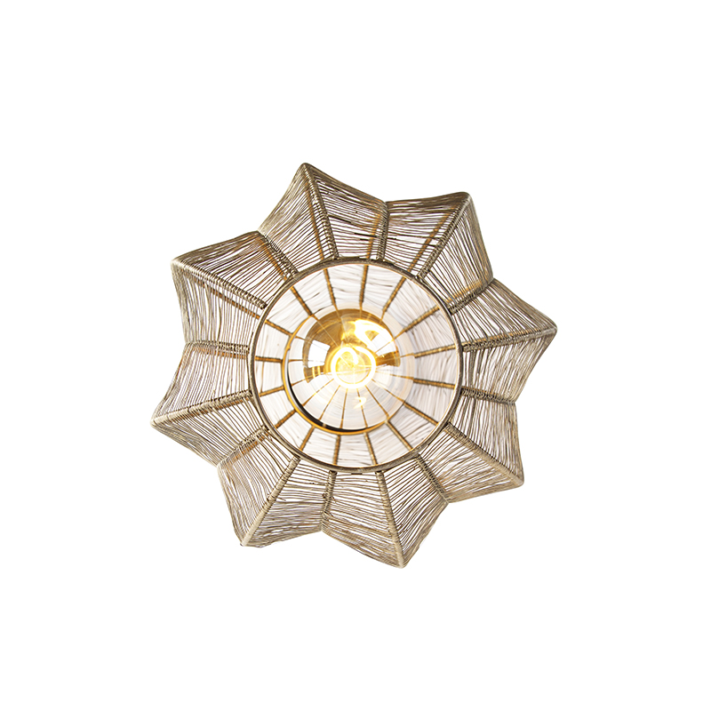 Industrial Ceiling Light Bronze with Black - Dong