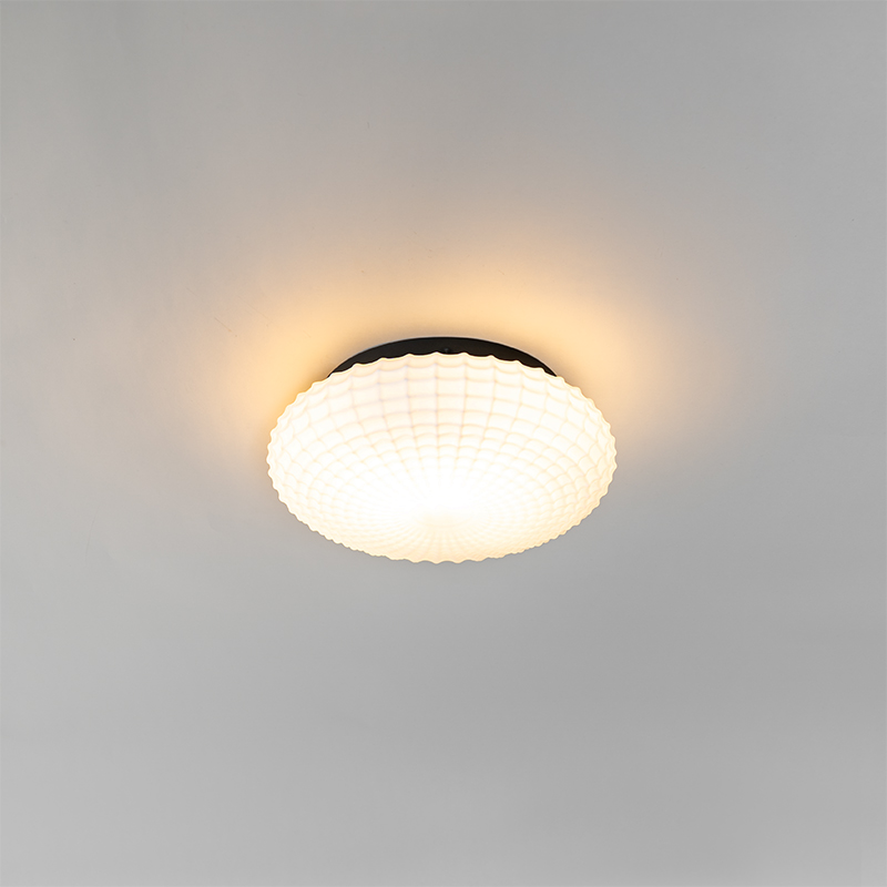Classic Ceiling Light Black with Opal Glass 23 cm IP44 - Nohmi