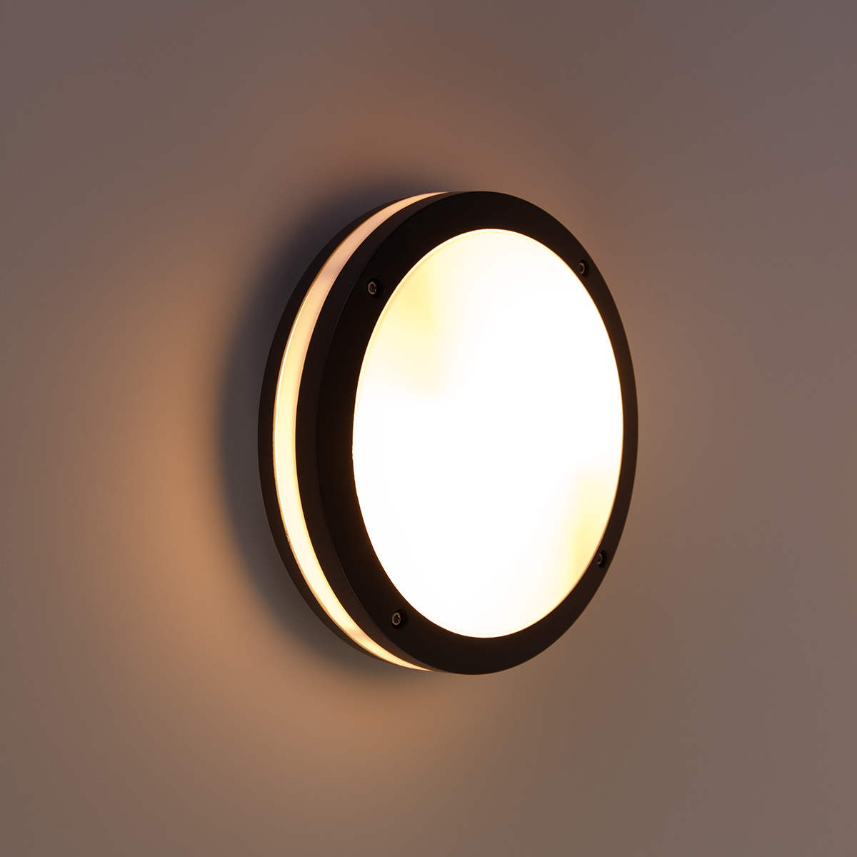 Wall and Ceiling Lamp Dark Grey 2-Lights IP54 - Glow