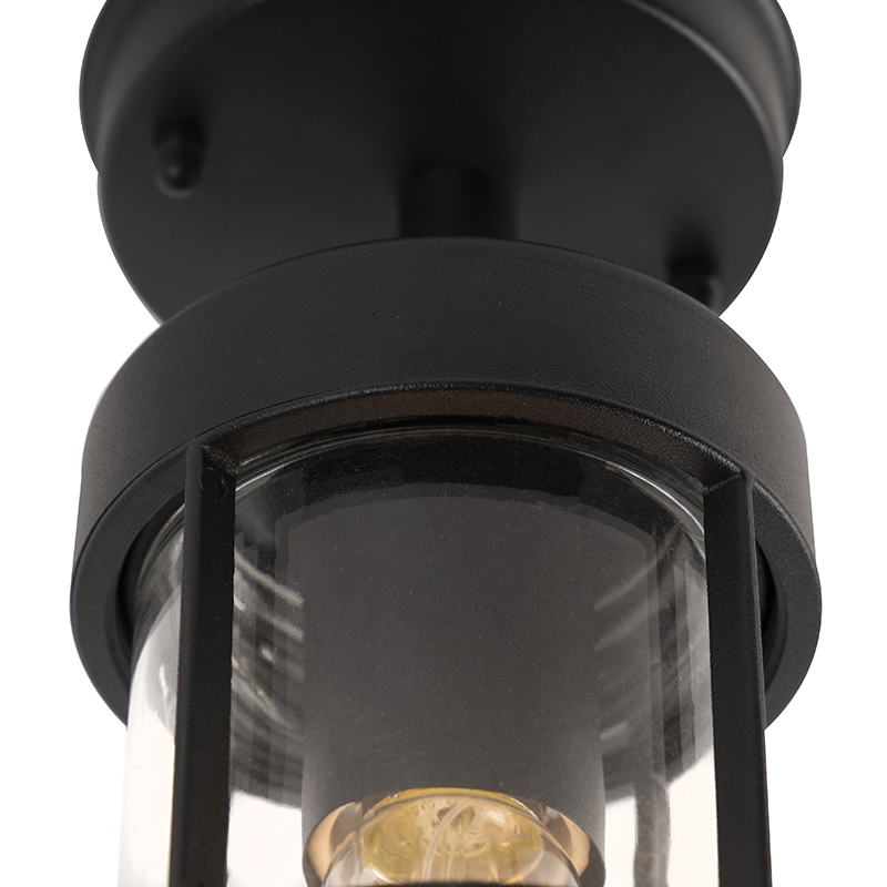 Plafón exterior rústico negro con cristal IP44 - Elza