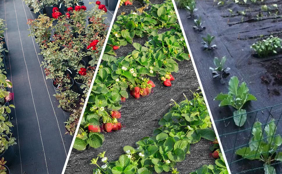 Toile De Paillage Couverture De Sol 2m X 5m, Contre Mauvaises Herbes De Jardin, Bâche Perméable Protection UV Haute Densité -Jardin Doux Soldes Magasin AAHKMJXYDAFdJAOAIMEbOAchCgvLIw0Qi3Xh6ZcLz5fRxDrfuan9 z7YNoWaZmC1LopzXRmZQFuvc hjEd tCTAazzMVGo1wGBF2m2EwbNph1A==