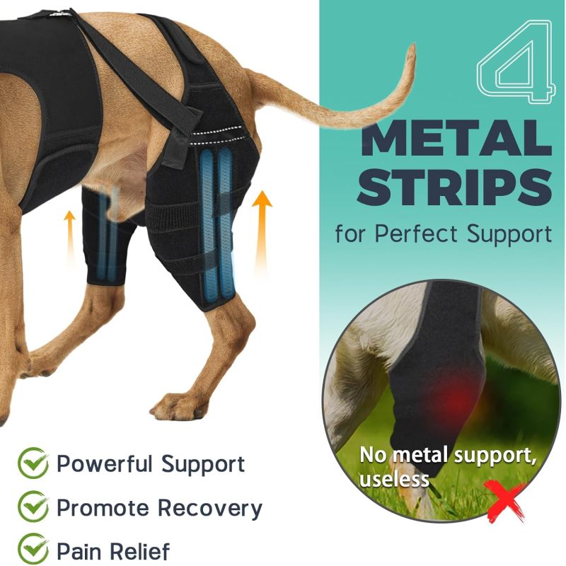 Attelle de genou pour chien Irovami taille M - vue complète