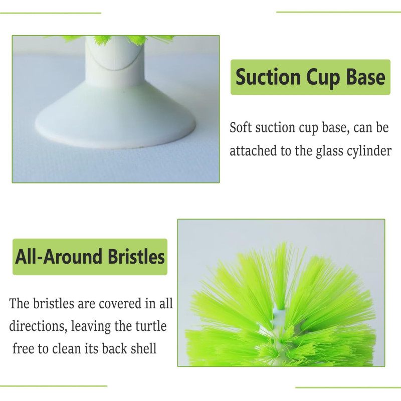 Brosse carapace tortue Irovami verte