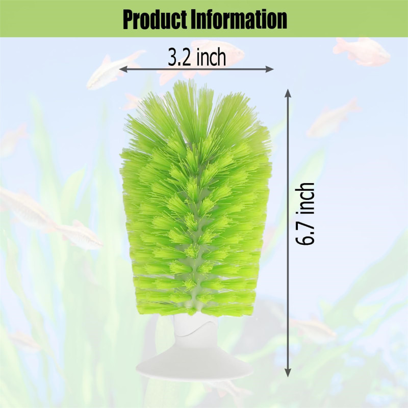Ventouse brosse carapace tortue