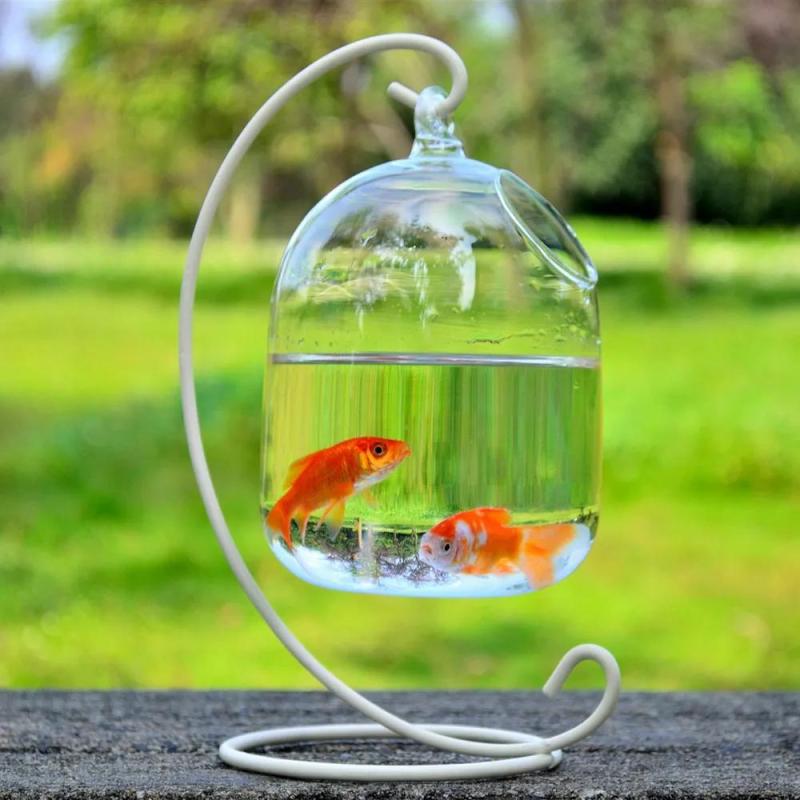 Aquarium suspendu en verre soufflé main - vue d'ensemble