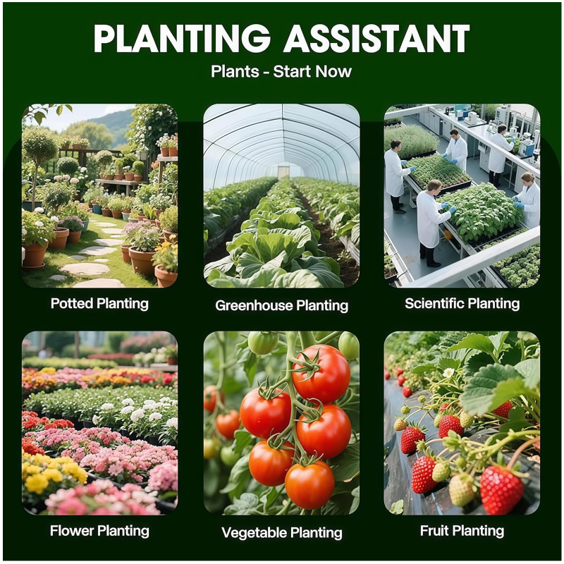 Aplicaciones: plantas en maceta, invernadero, jardín, verduras, flores, frutas