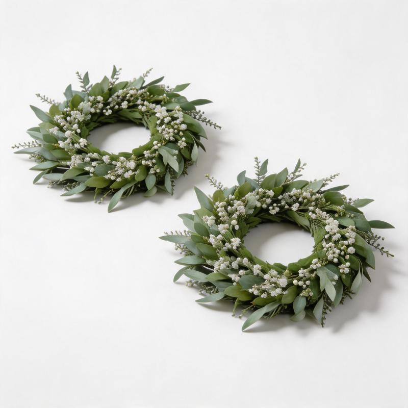 Couronne eucalyptus sur fenêtre ou mur blanc
