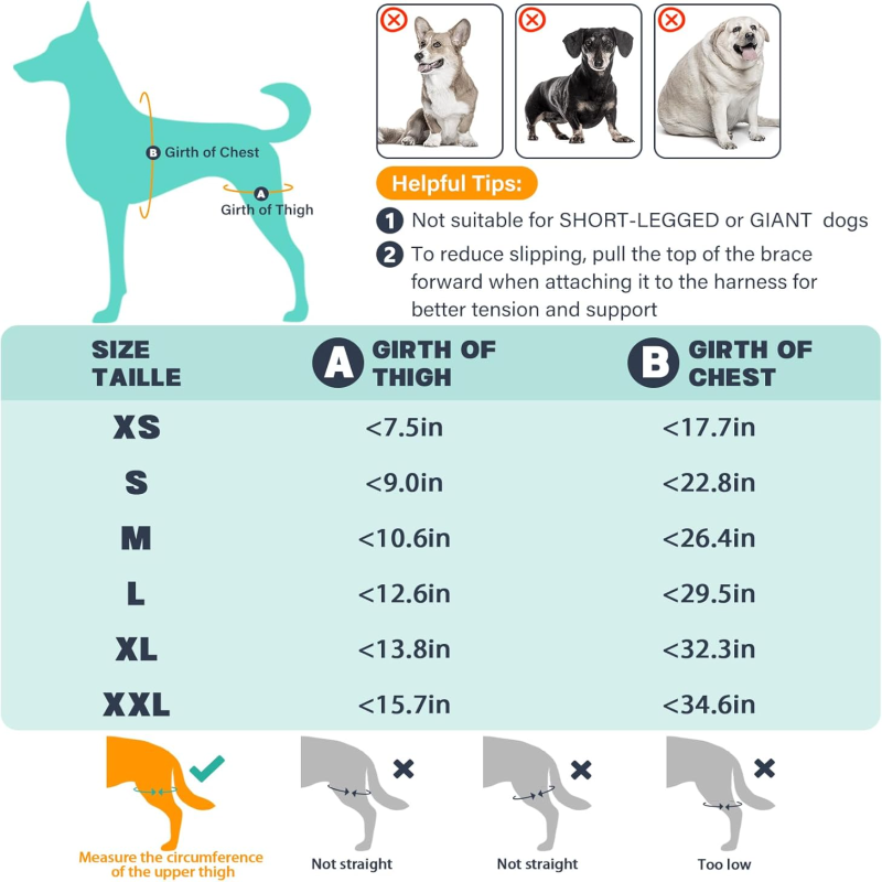 Attelle de genou pour chien Irovami - vue complète