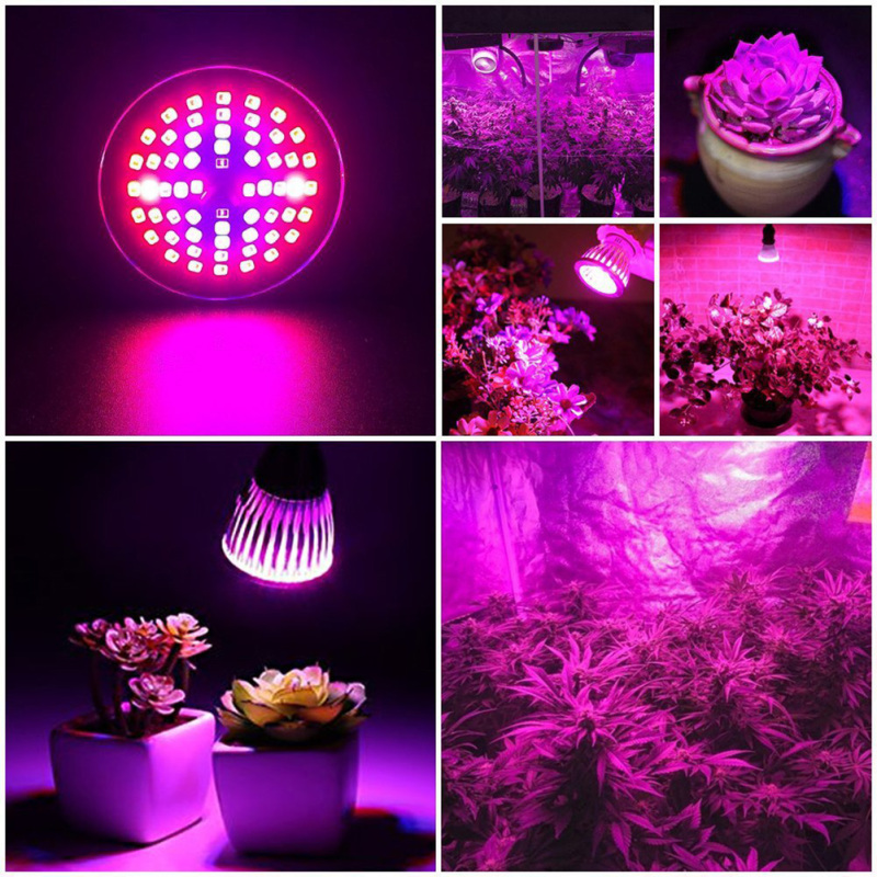 Détail des LED et de la composition spectrale