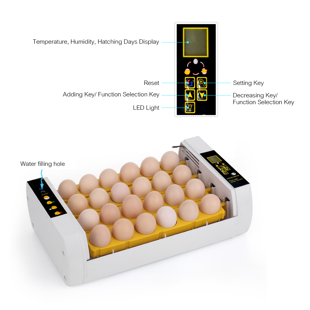 Incubateur Numérique D'oeufs 24 Oeufs Contrôle Automatique De La Température Fonction D'alarme De Rotation Automatique Des Oeufs Lumière LED Pour L'observation De La Croissance Éclosoir Automatique De -Trixie || Flamingo Soldes Magasin AAHKMJXYDAFdJAOAIMEbOAchDcYbbiagDY4GQxvKpM5gRxygKUkPrH4CS7P5Zrdky5SrYWkxu5fZU3Hw027GSYg26H04qBBc7PCi b7N5Gruy1pWNdTyfmrkVRQvgEOzxzCdxN1 3nI9j