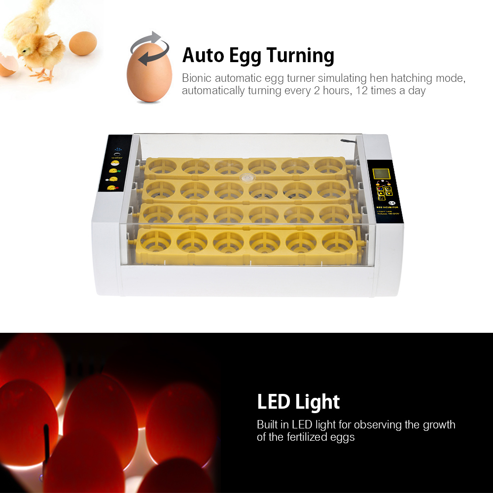 Incubateur Numérique D'oeufs 24 Oeufs Contrôle Automatique De La Température Fonction D'alarme De Rotation Automatique Des Oeufs Lumière LED Pour L'observation De La Croissance Éclosoir Automatique De -Trixie || Flamingo Soldes Magasin AAHKMJXYDAFdJAOAIMEbOAchDcYbbiagDY4GQxvKpM5gRxygKUkPrH4CS7P5Zrdky5SrYWkxu5fZU3Hw027GSYg26H04qBBc7PCi b7N5Gruy29lU1 eESaVxPvehTu1zV hRRBiPKD3uE4eOxn rLtmd047PJb6 xRHVZj5d5rZi Ayp7dkw5ULr0hBjBg2WRbqBrSjZX1dThhCPgOS zeIk6OrVuy3qq8RC7mssR4JfQ==