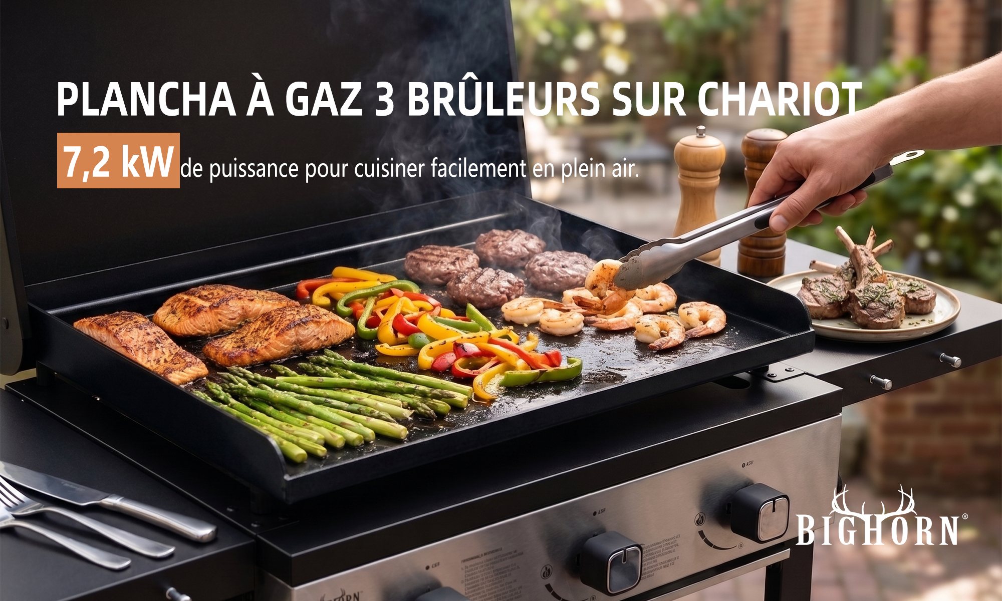 Viande, poisson et légumes sur la plaque de cuisson de la plancha Bighorn