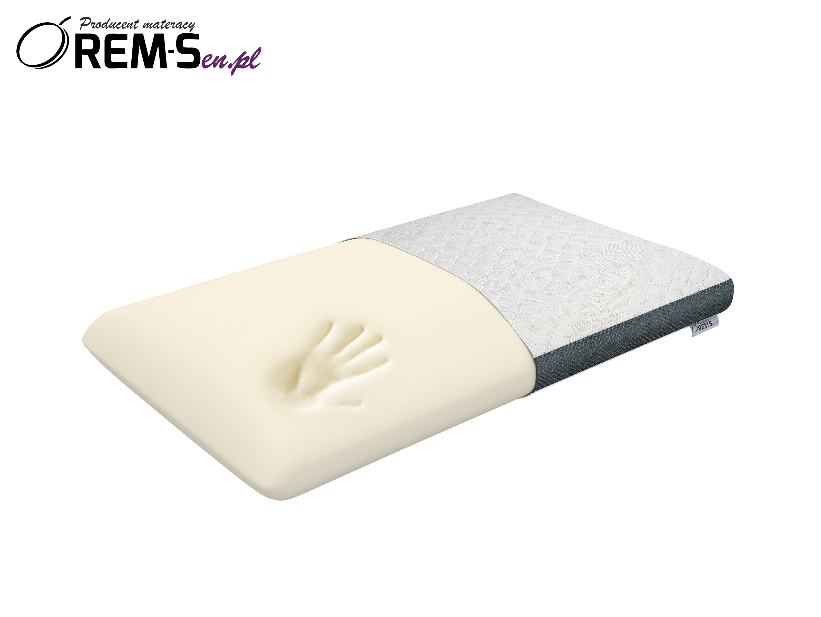 Aloes Pillow 3D.jpg