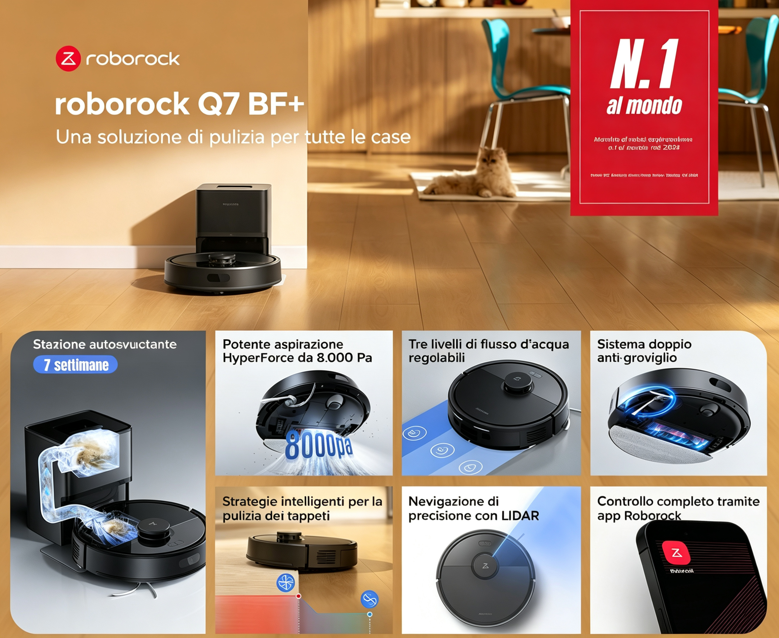 Q7 BF+5 IT.jpg