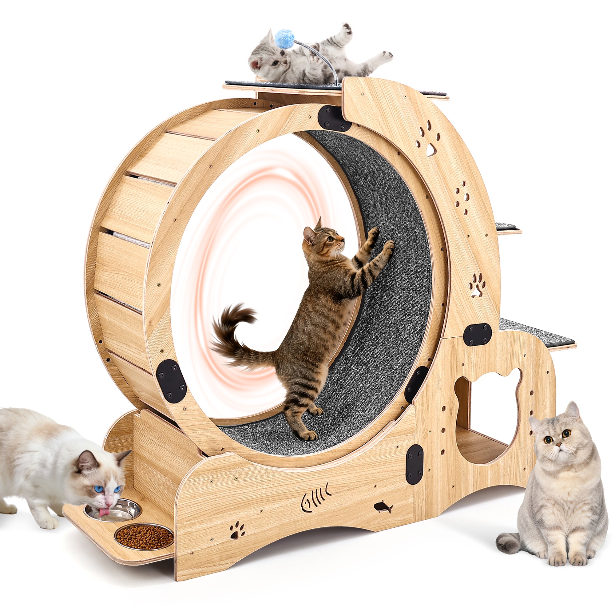 Roue d'Exercice pour Chat Bois Naturel, 6 en 1, Fonctionnement Silencieux, Usage Intérieur - Bois - 91.5x53x19.5cm - Maison 2