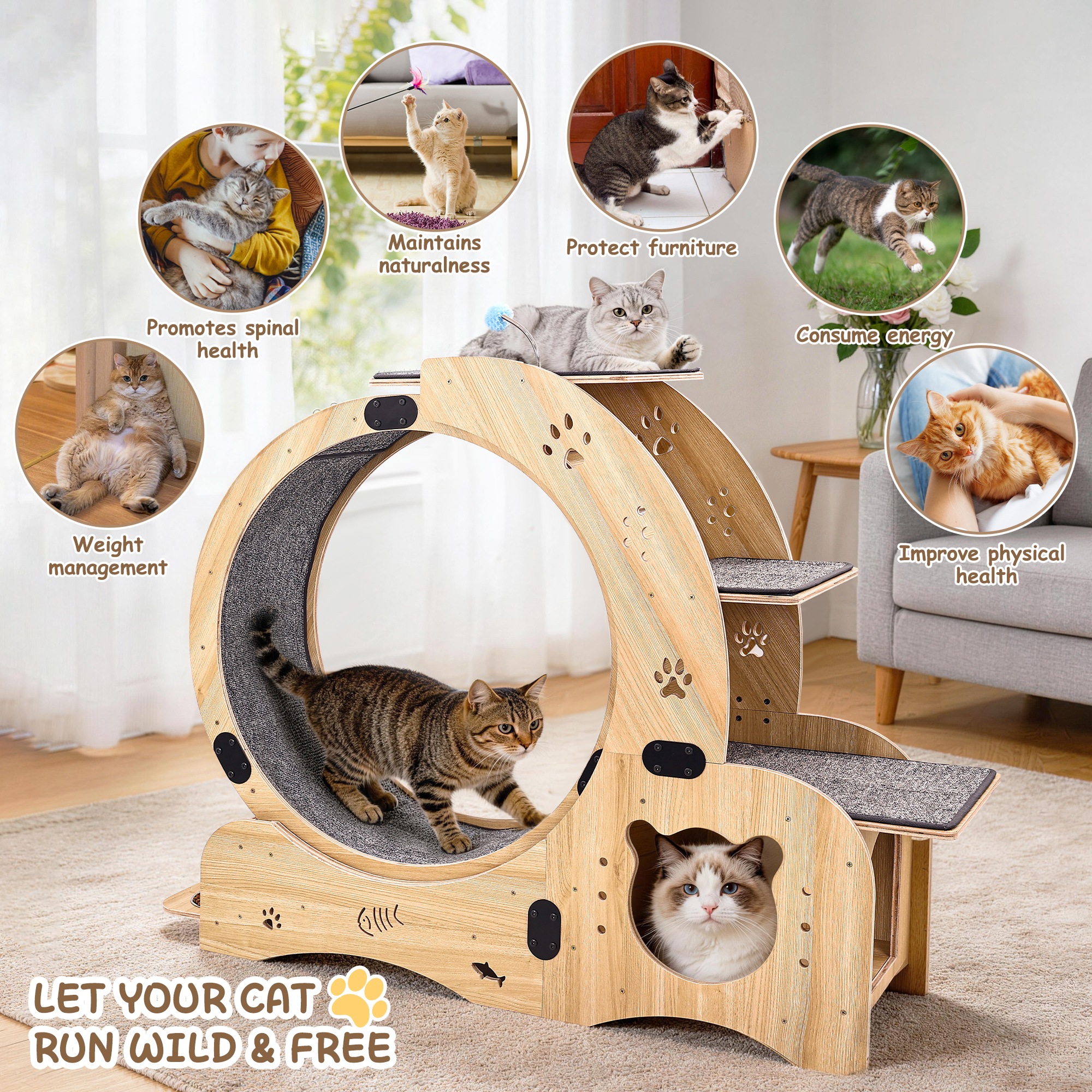 Roue d'Exercice pour Chat Bois Naturel, 6 en 1, Fonctionnement Silencieux, Usage Intérieur - Bois - 91.5x53x19.5cm - Maison 3