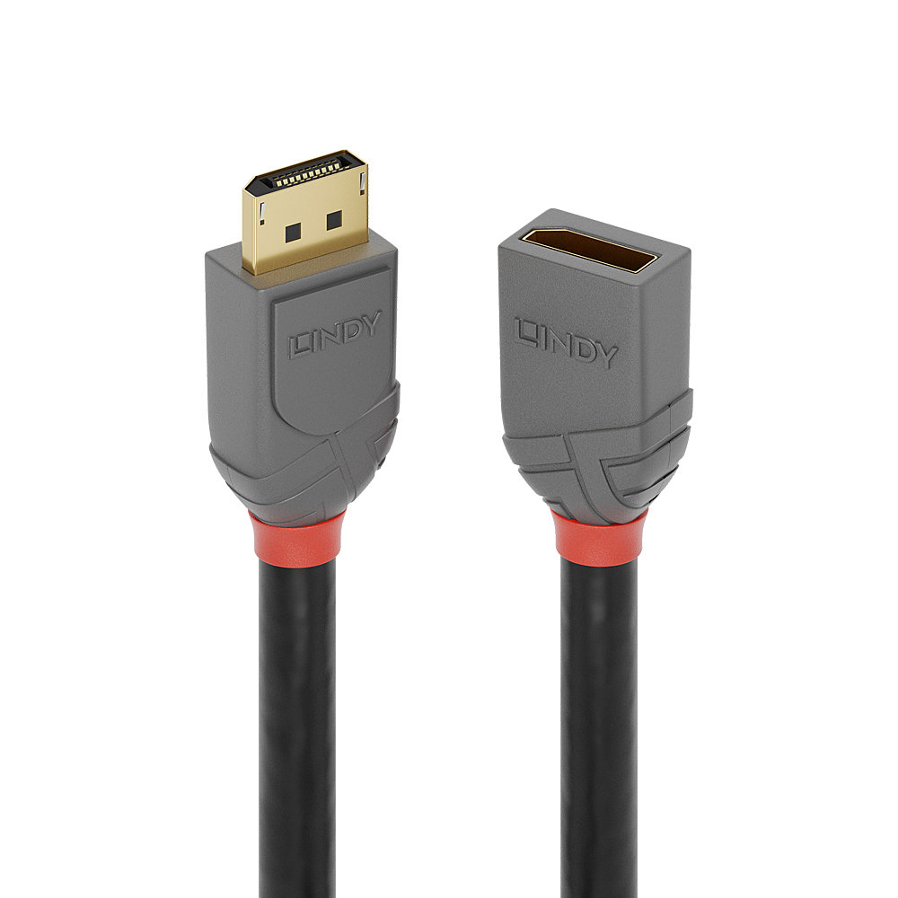 Lindy 1m DisplayPort Extension Cable Anthra Line