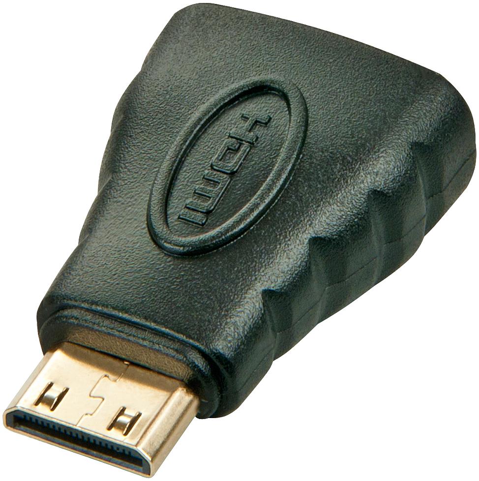 Lindy Adaptateur mini-HDMI vers HDMI C mâle A femelle