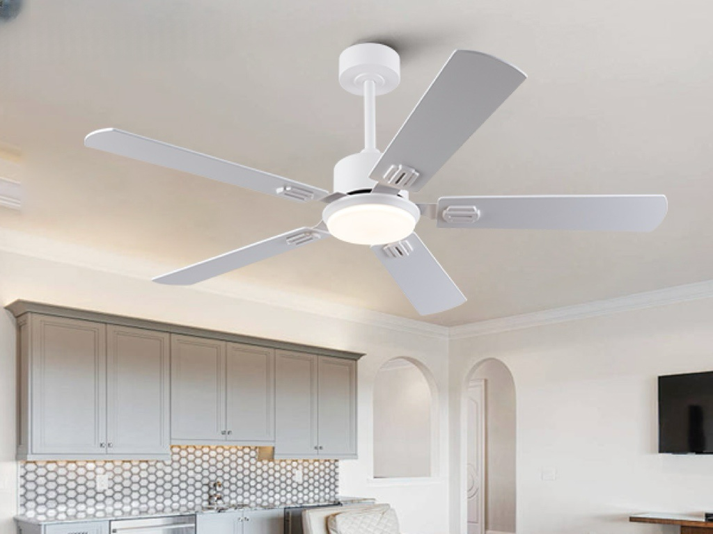 Ventilateur plafond bois massif haut de gamme