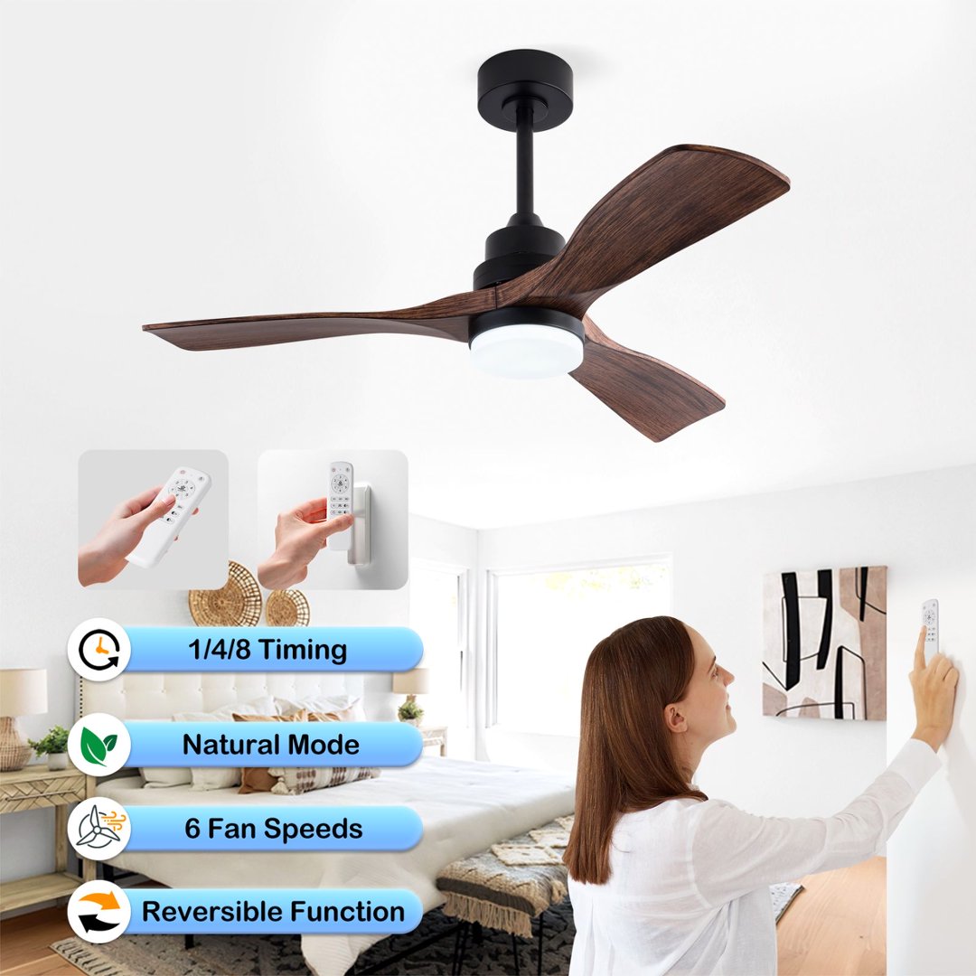 Ventilateur plafond commande télécommande
