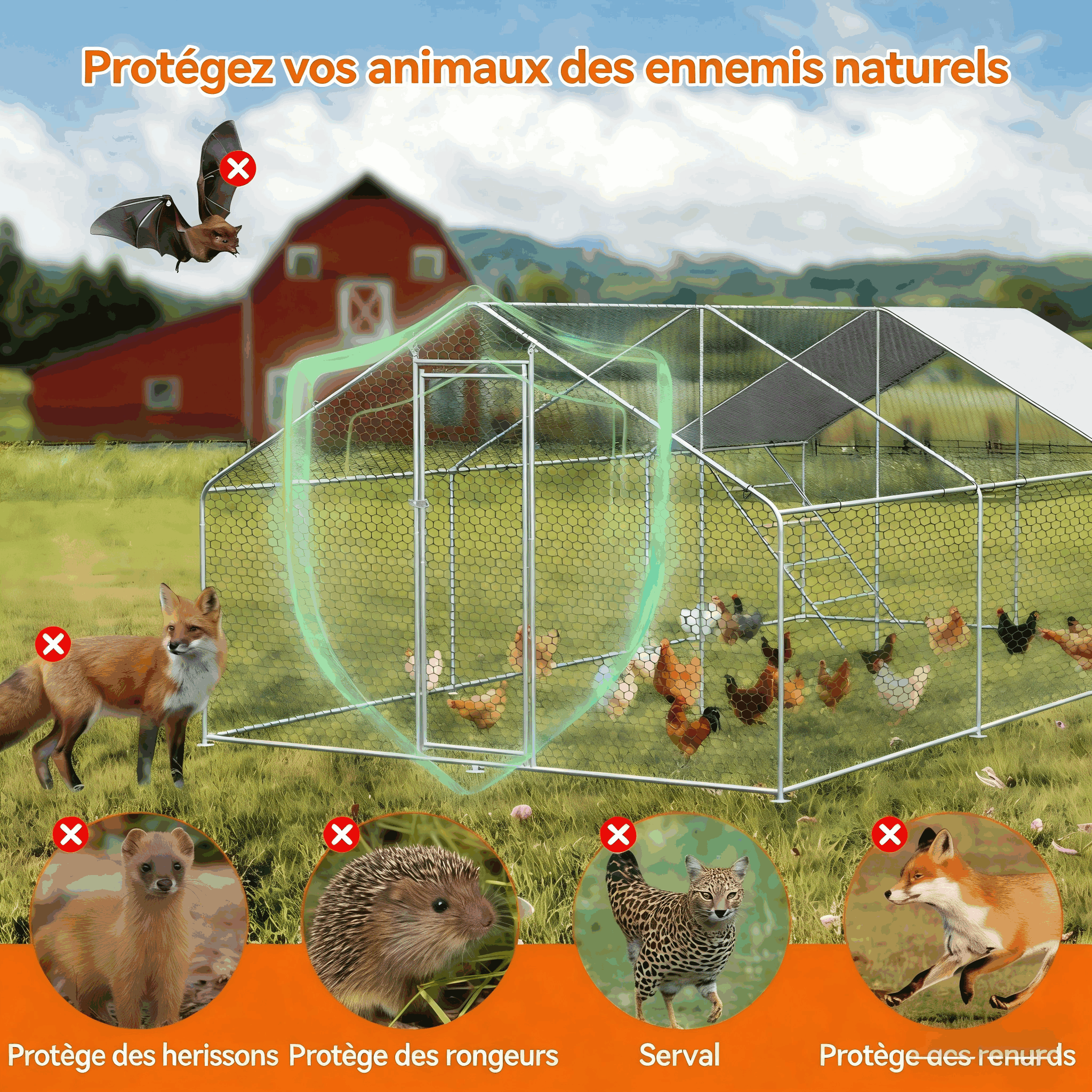 Volière pour Poulets 3x6x2m - Vue d'ensemble de l'enclos métallique