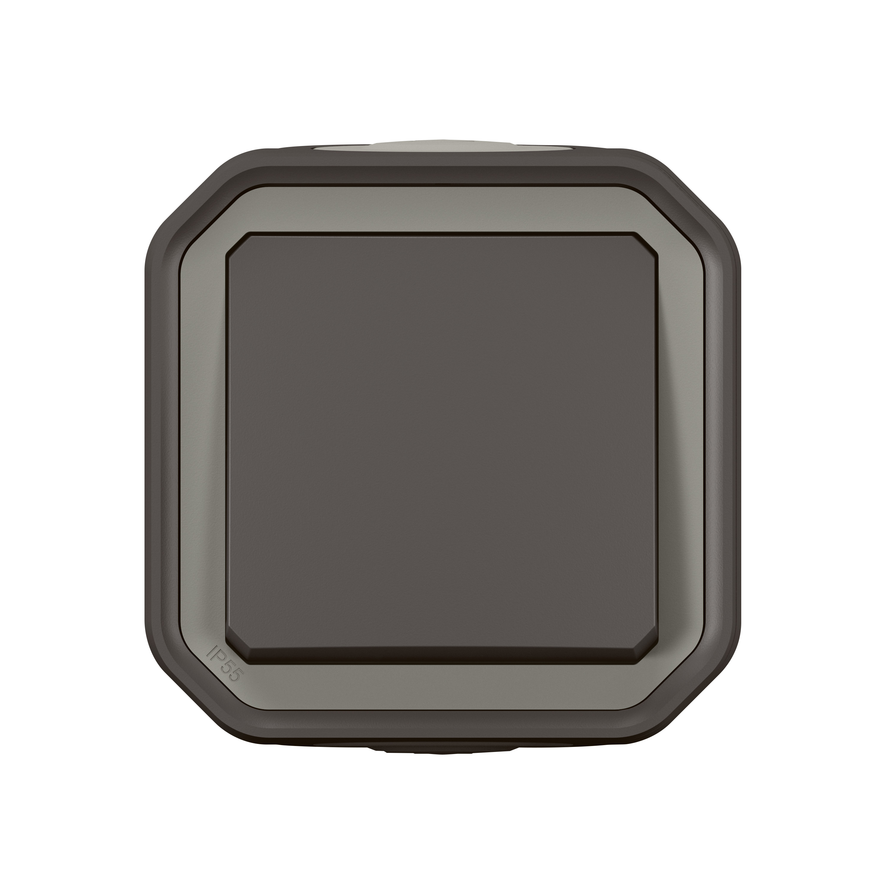 Legrand - Interrupteur / va-et-vient étanche Plexo prêt à poser saillie - 10AX - 250V - IP55 - IK08 - Gris - Réf : 069711L