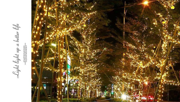 Guirlande Lumineuse Carnaval Mariage Extérieur Jardin Intérieur Éclairage - 50M 500 LED -OSRAM || EUROPALAMP Soldes Boutique