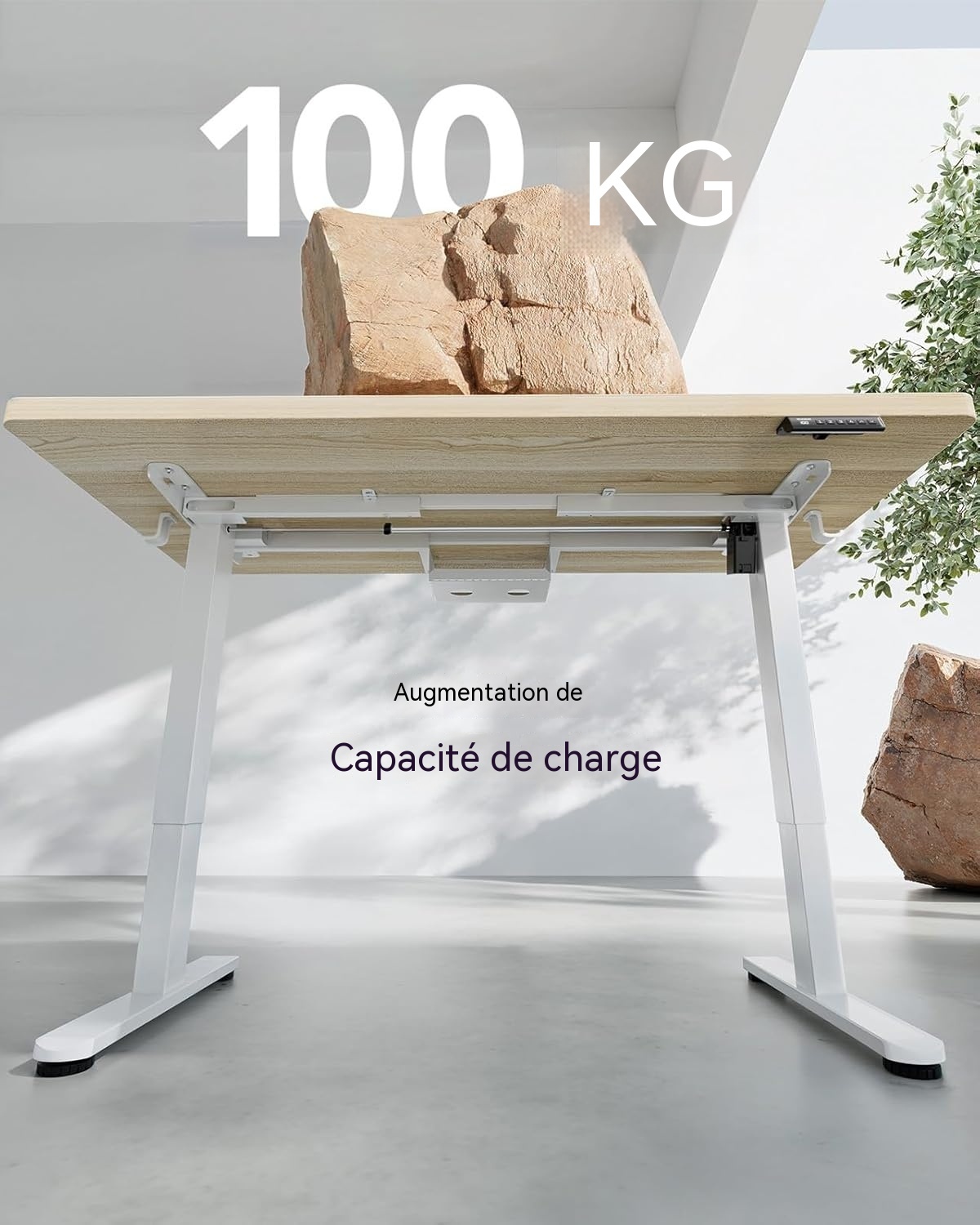 Capacité de charge 100kg du bureau