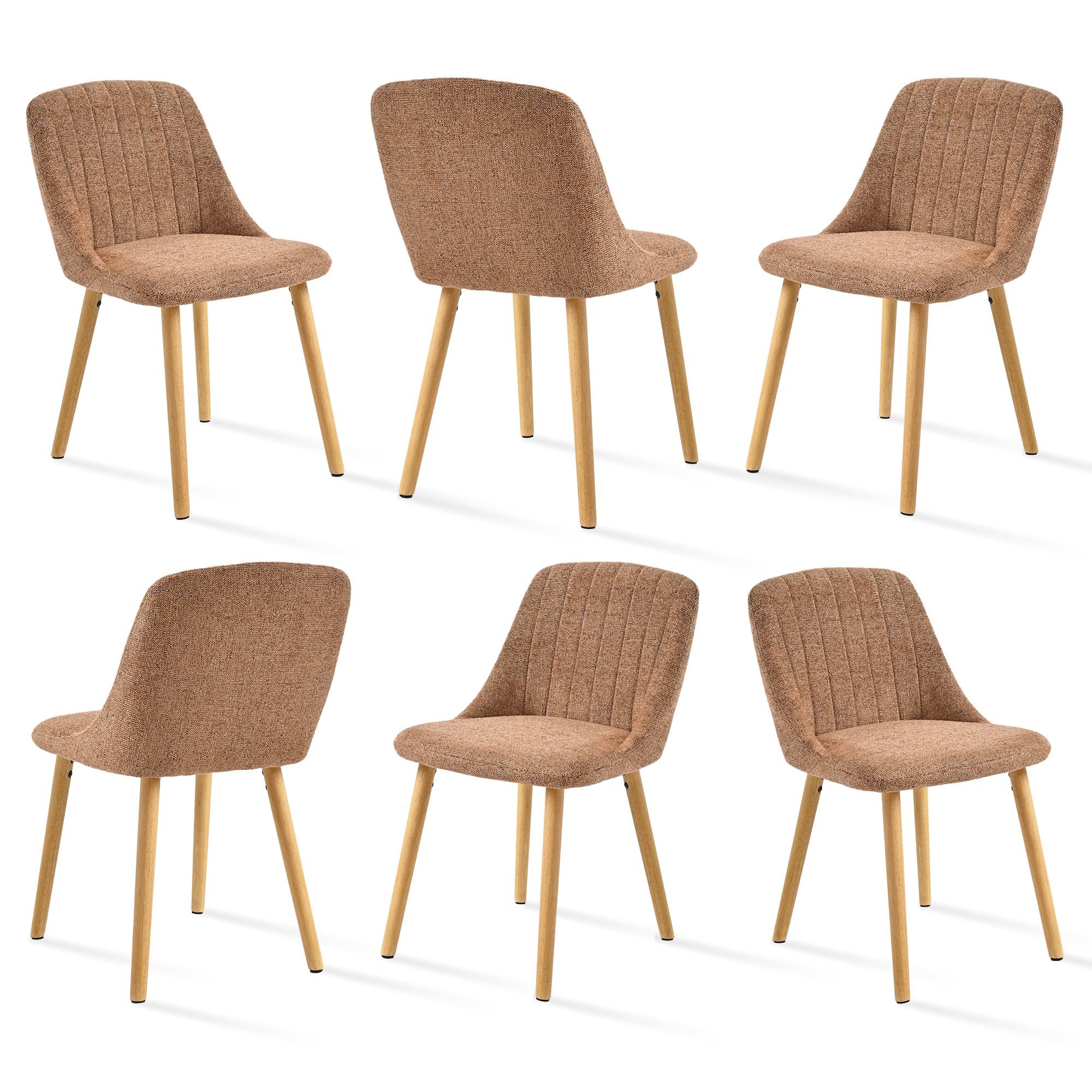 Multi-Angle View
