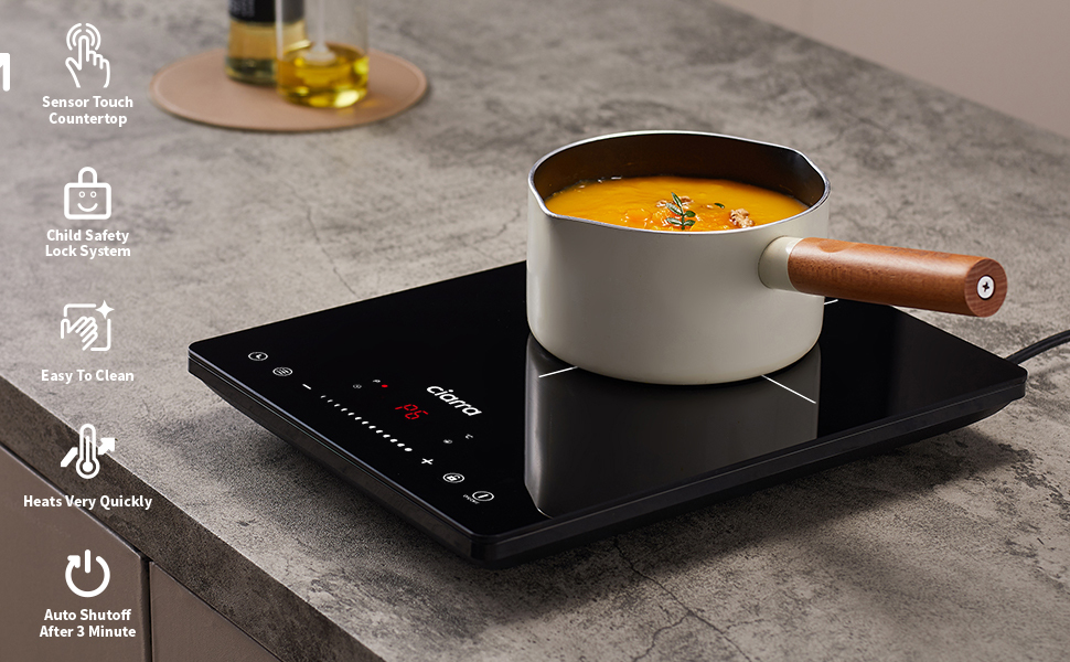 portable induction hob