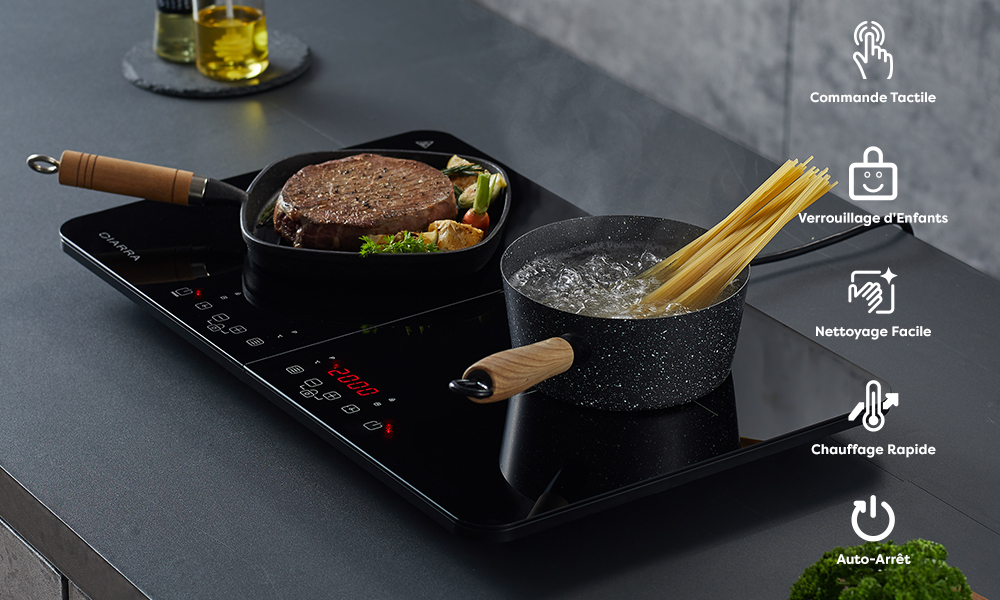 plaque induction portable