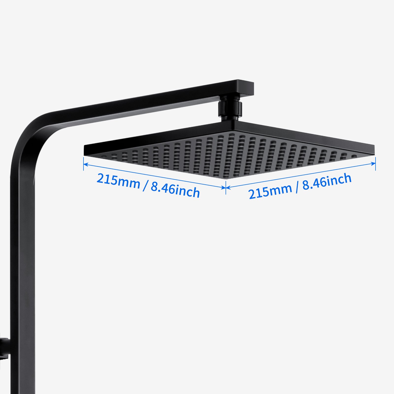 width=100%