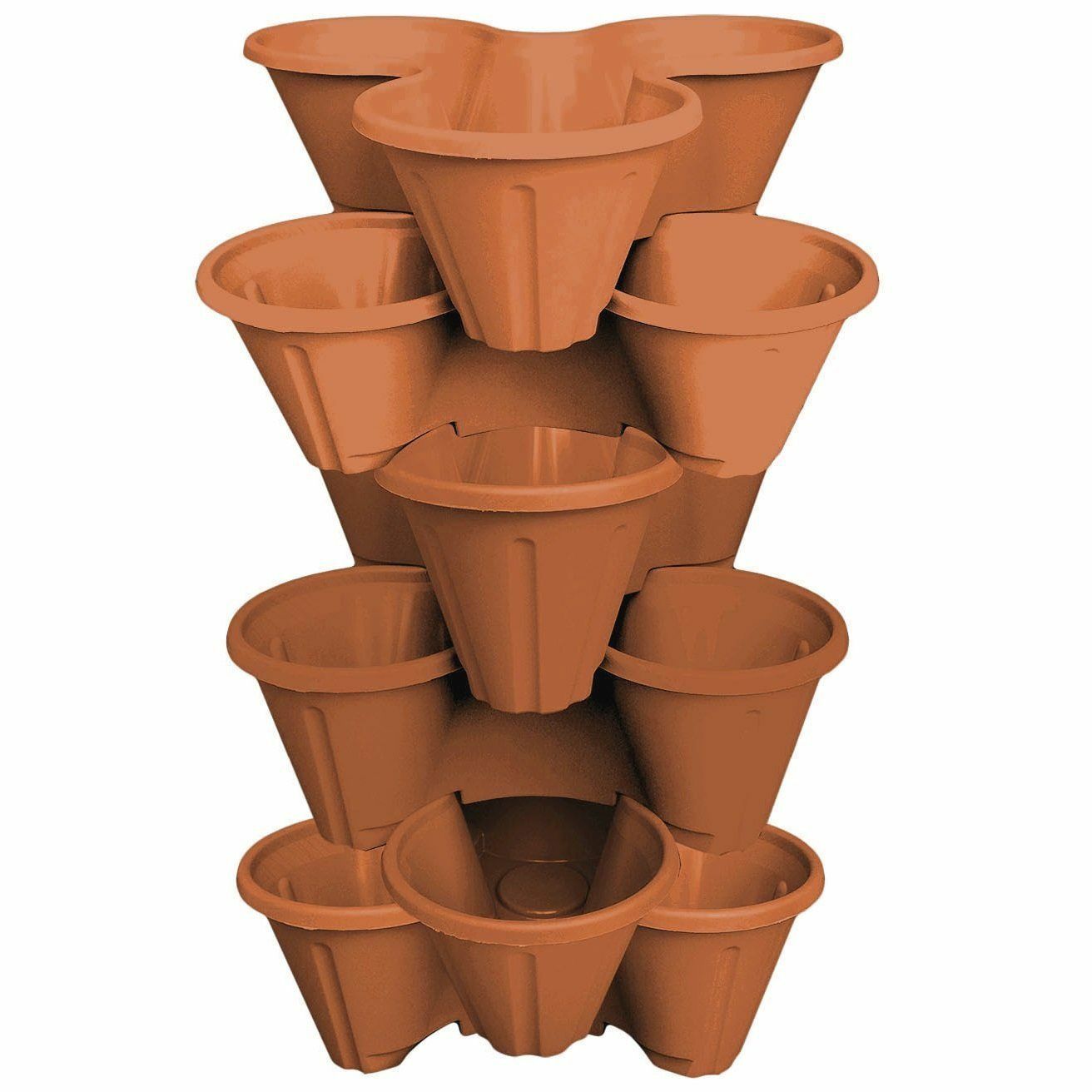 6 X STRAWBERRY PLANTER -STACKED IN TRIOS - GARDEN PLANTS PLASTIC POT -TERRACOTTA -Dwarf Discovery shop AAHKMJXYDAFdJAOAIMEbOAchJdpzcxeaGAN93tAr4QXGWHV3jh9W ZW4Ybs0YUmrGS2BmGJ5rqmm7xwijqGR RoavVhI1E16eTESKyCT4NhUaHn1A5Sd5YqD 0Uo6FXCr4b9ET13UaFZParGoSNhBmRK
