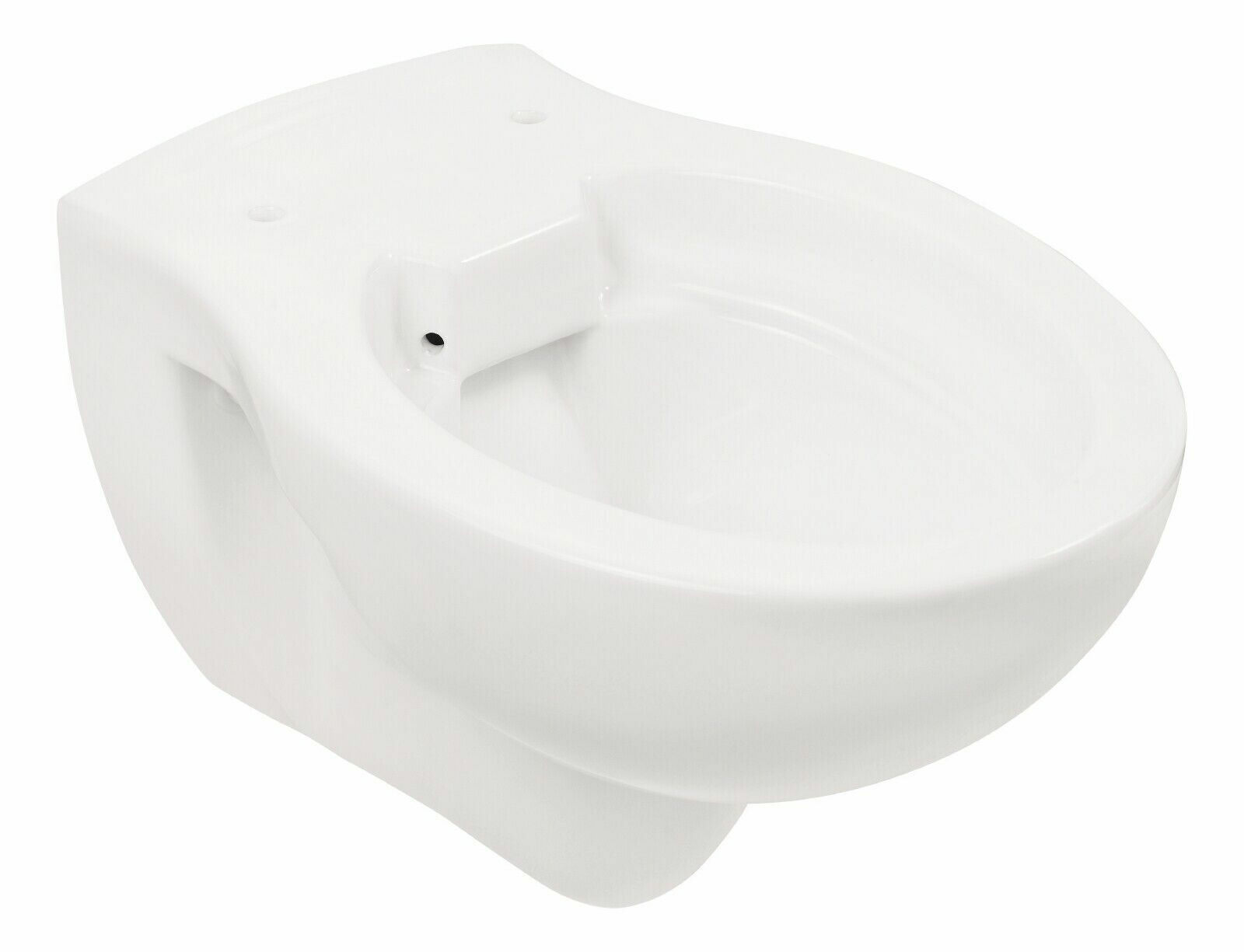 Aqua Blue Spülrandlos Wand WC Hänge WC Tiefspüler Rimless Toilette