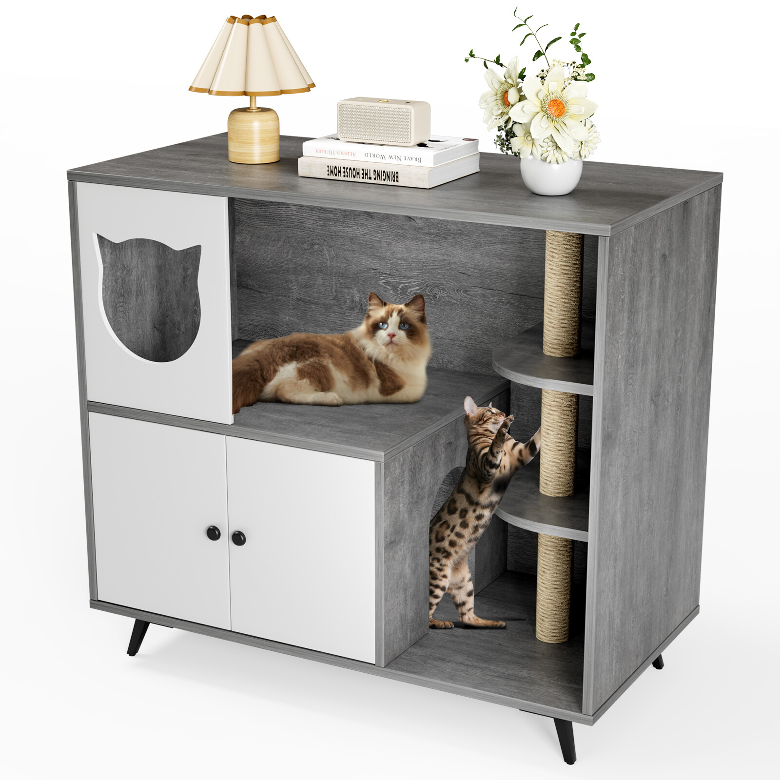 Katzentoilette 2