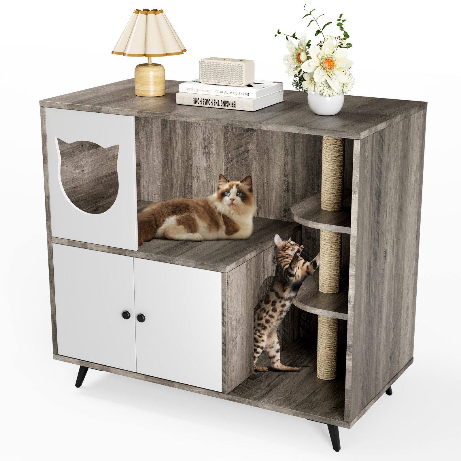 Katzentoilette 1