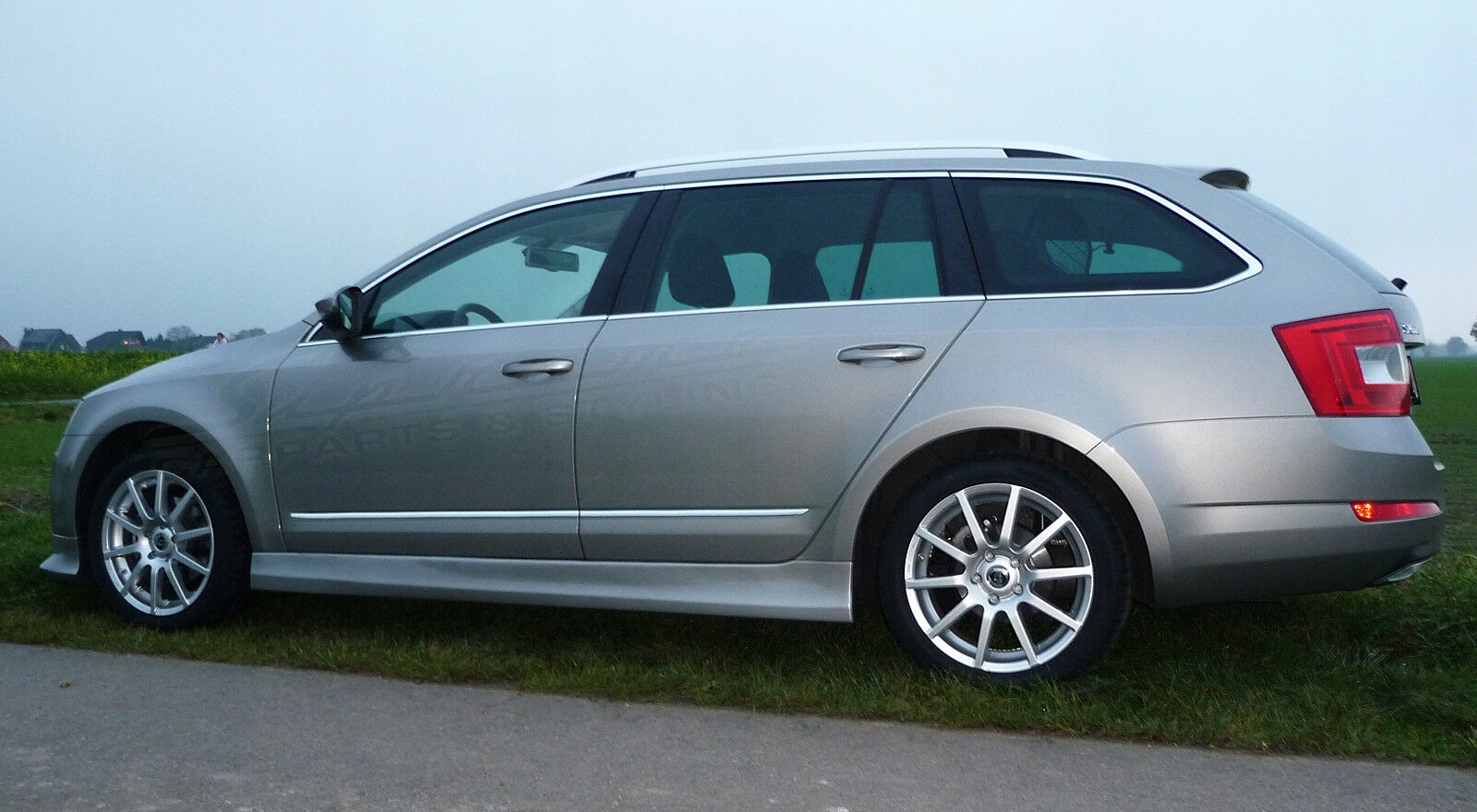 Bandes latérales chromées pour Skoda Octavia