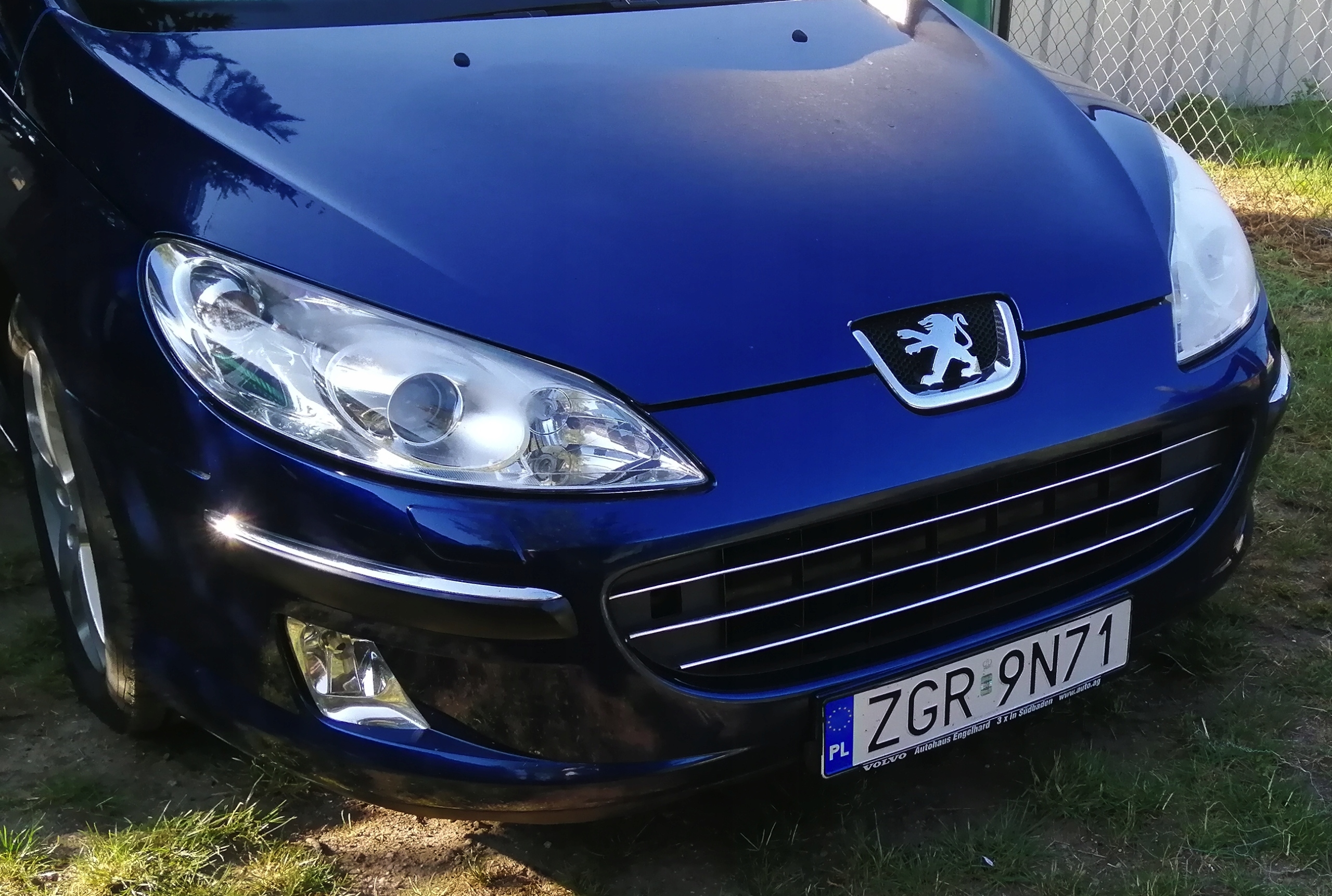 Tiras cromadas para Peugeot 407