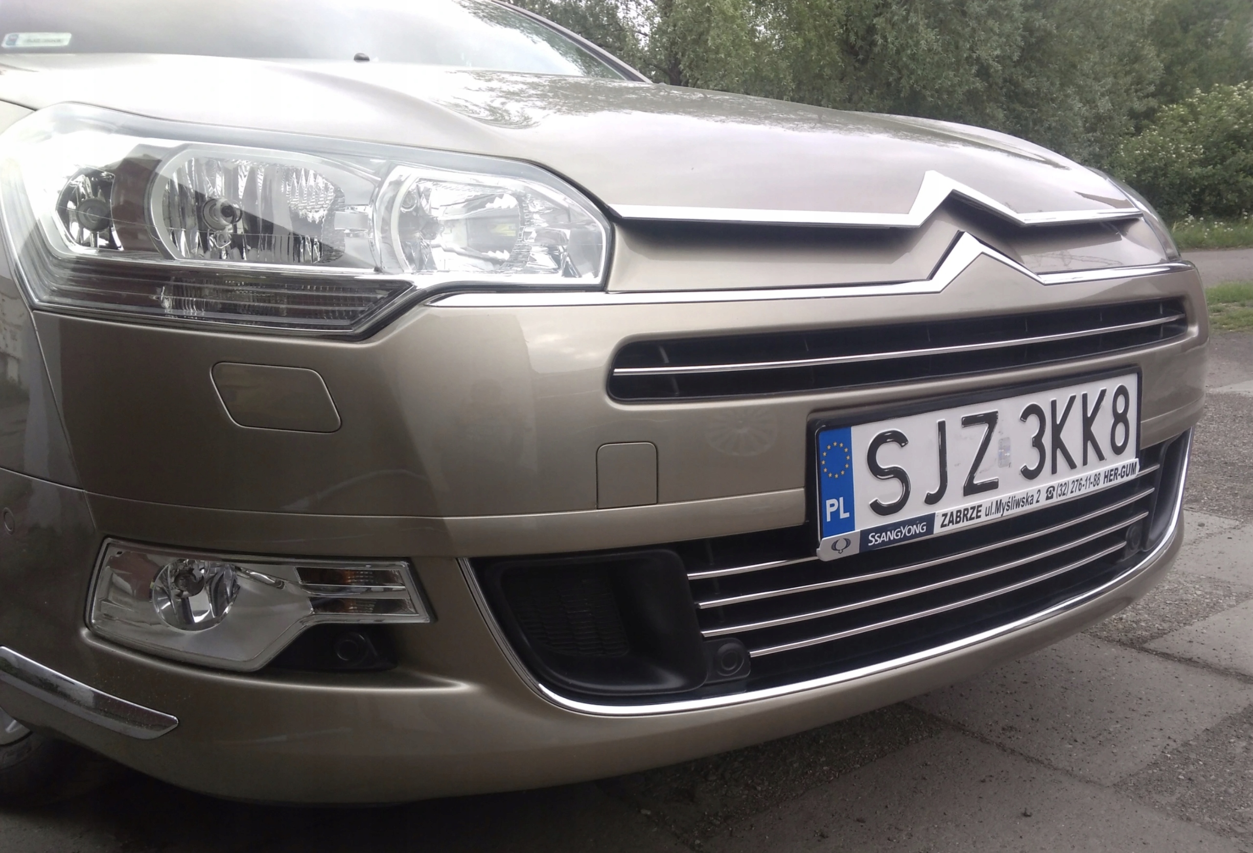 Strisce cromate per la griglia C5 III