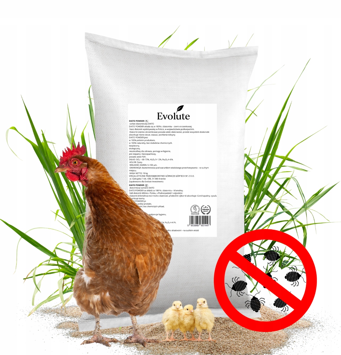 Terre de diatomées pour poules contre les poux rouges, les poux, les ...