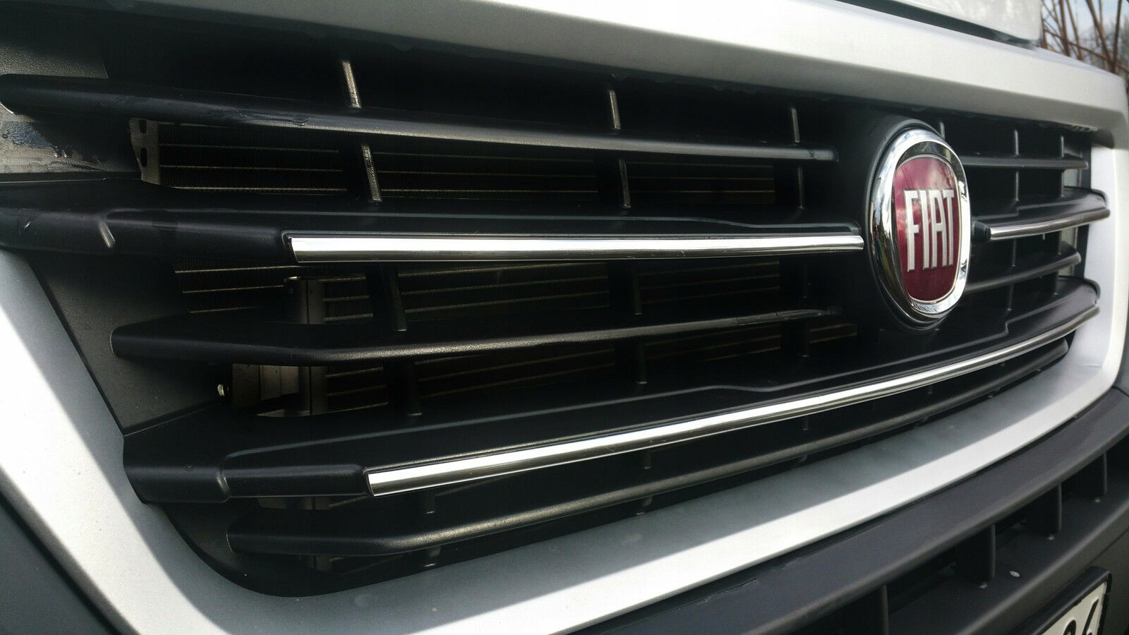 Strisce cromate per la griglia Fiat Ducato III primo piano