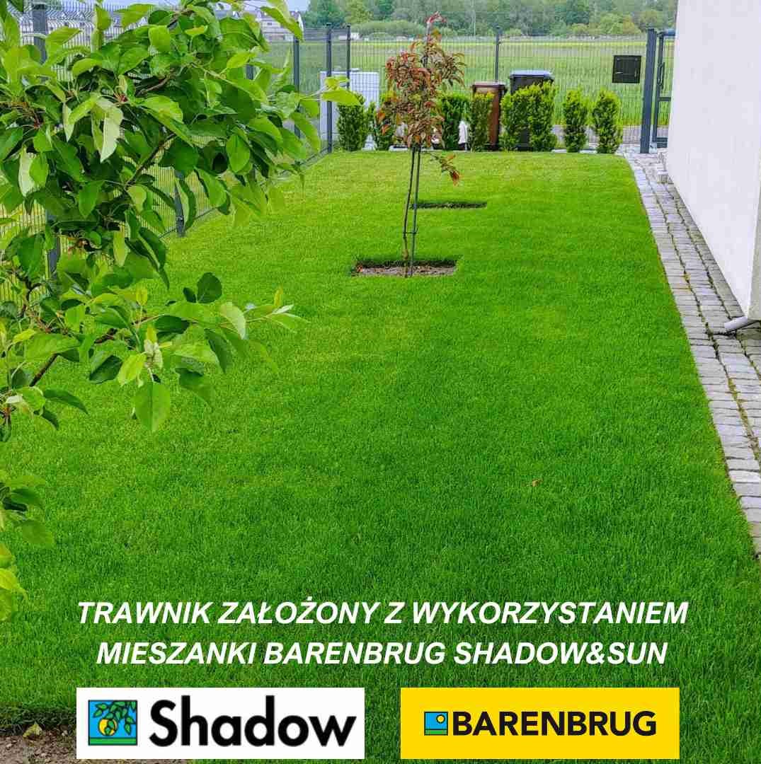Gazon Barenbrug Shadow&Sun 15 kg GAZON VERT FONCÉ DENSE POUR L'OMBRAGE ...