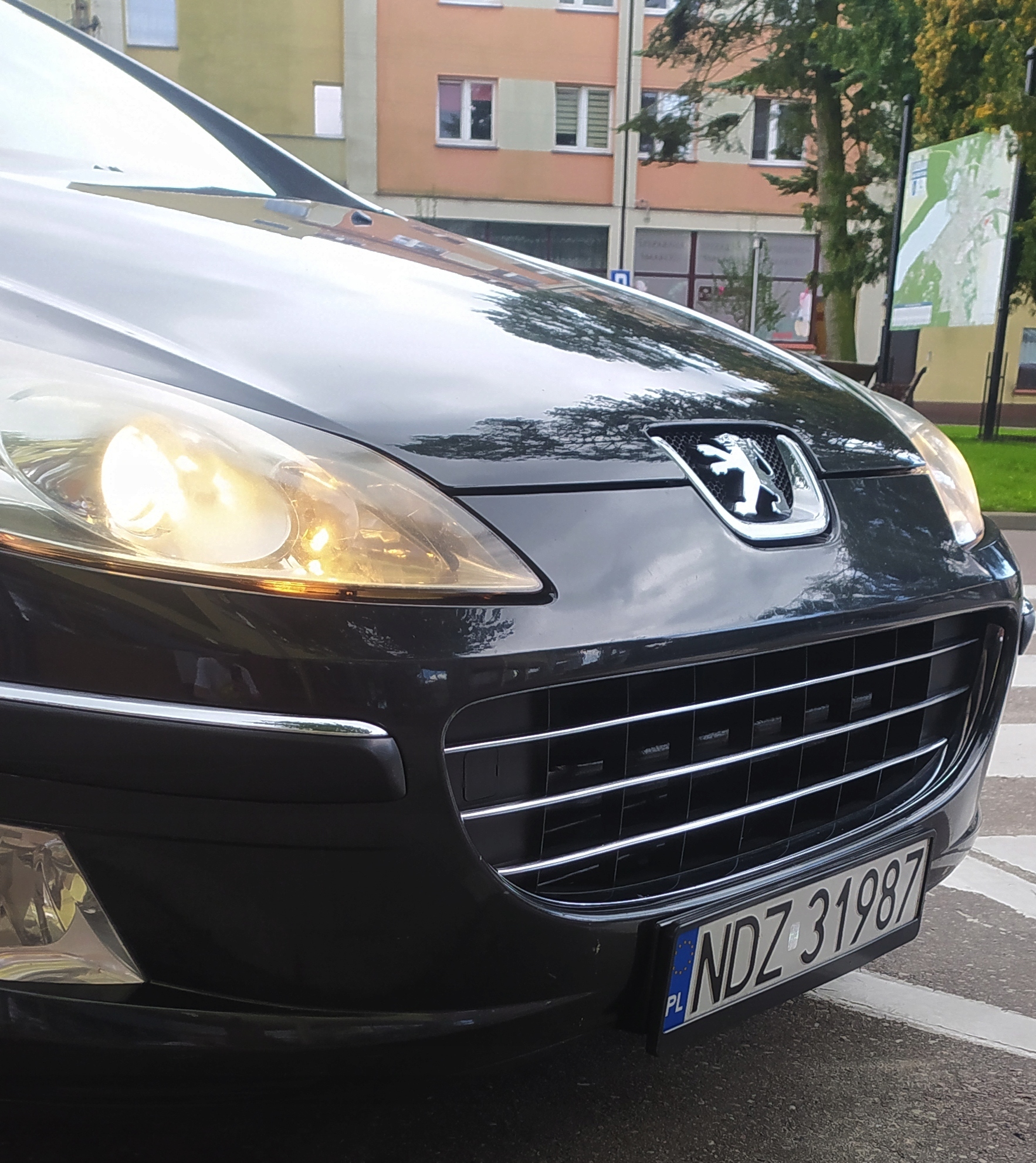 Detalles de las tiras cromadas del Peugeot 407