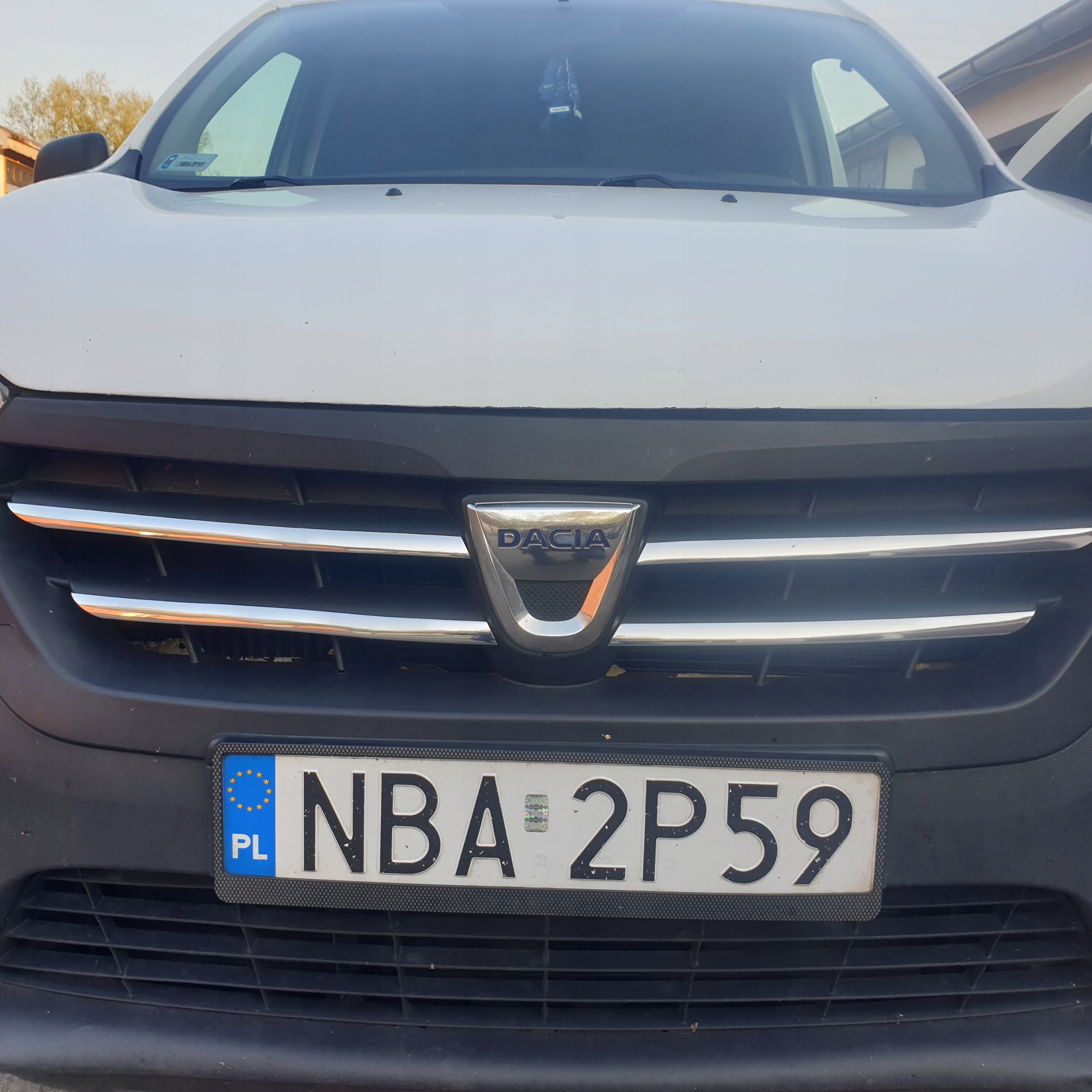 Dacia Dokker Chromleisten - Detail