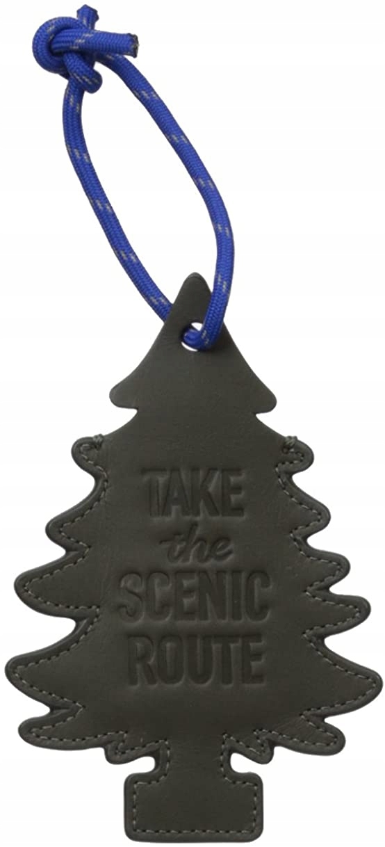 SAFIGLE Lot De 3 Jolies étiquettes D'identification De Voyage En Polyuréthane Motif Chat Pour Valise, Bagage élégant Et Portable