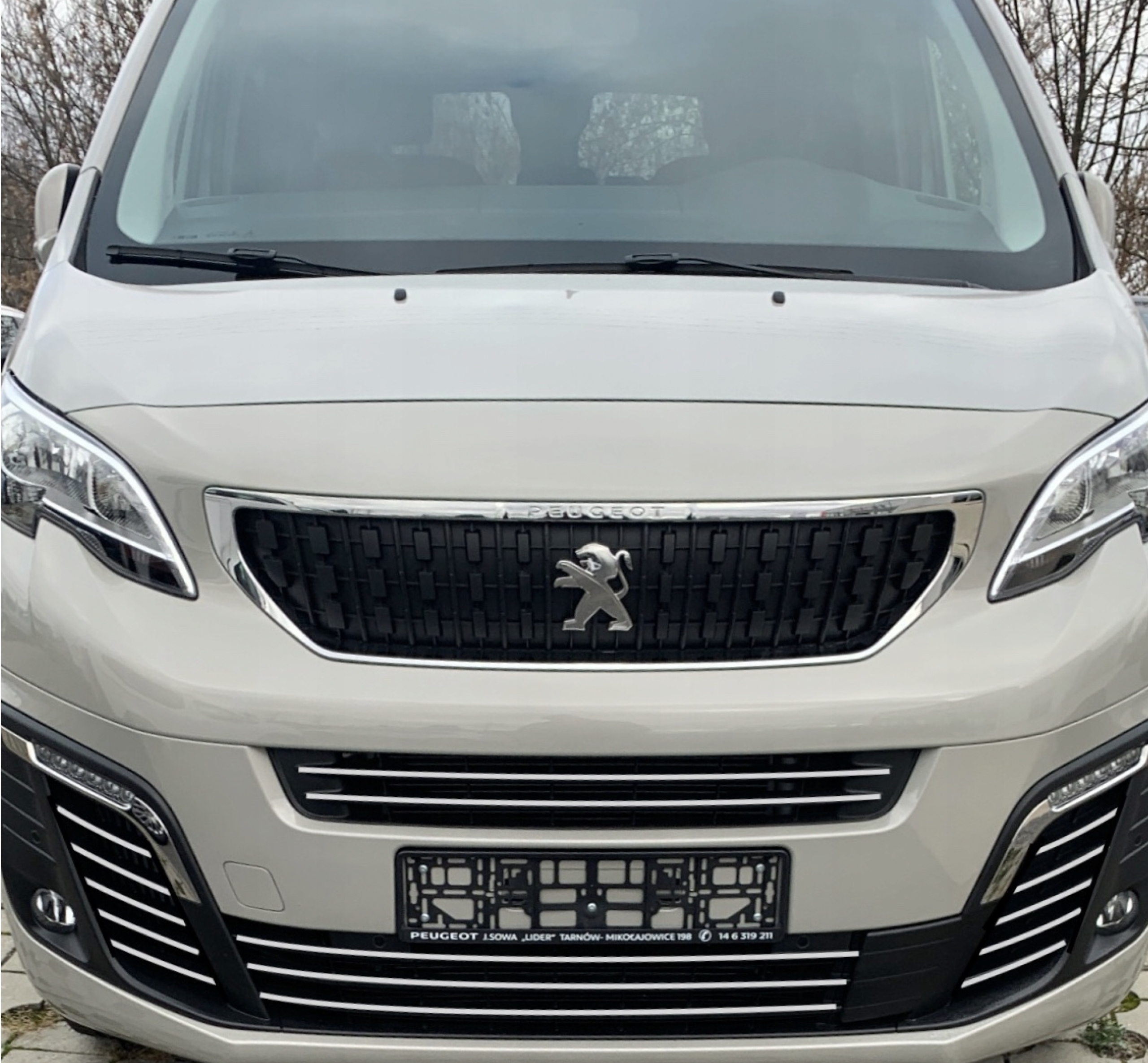 Cromatura per paraurti Peugeot Expert