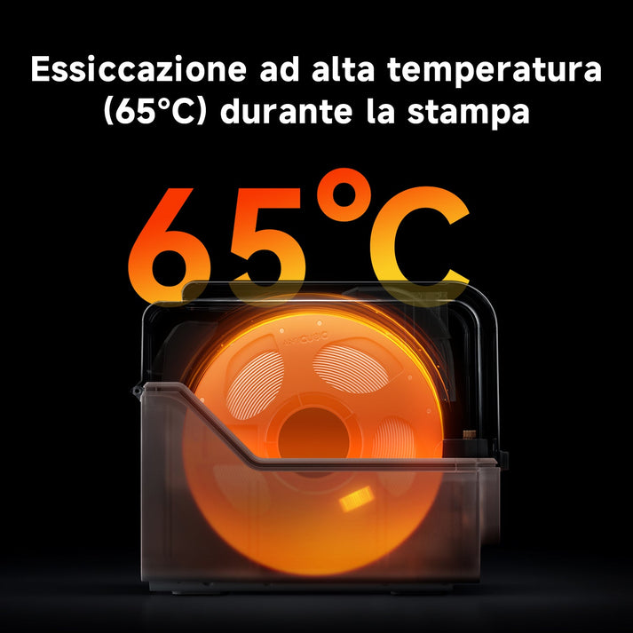 Dettaglio ANY010