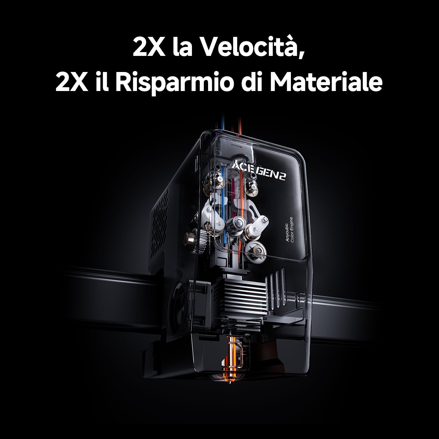Dettaglio ANY011