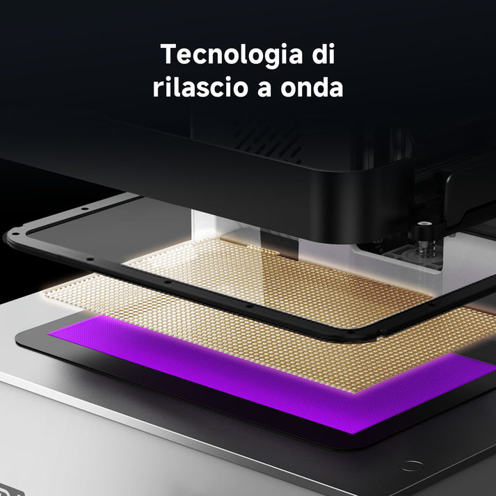 Dettaglio ANY009